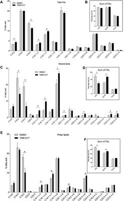Liver X receptor agonist upregulates LPCAT3 in human aortic endothelial cells